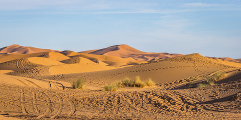 Fototapeta na wymiar dunes de sable