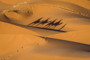 Mirage dans le désert