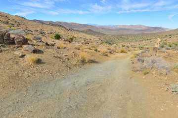 Lost horse Valley at the Joshua Tree National park.
