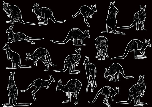 set of twenty one kangaroo on black