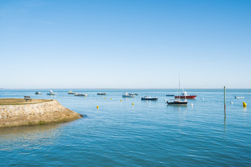 Fototapeta premium CAP FERRET (Bassin d'Arcachon, France), le port de La Vigne