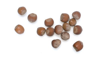 Haselnüsse / freigestellt auf Weiss