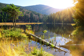 Moraine lake Kleiner Arbersee in National park Bavarian forest. Autumn landscape in Germany.