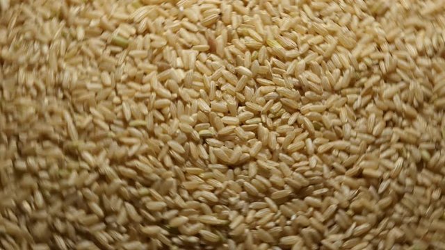Uncooked Brown Rice Are Rotated On The Plate