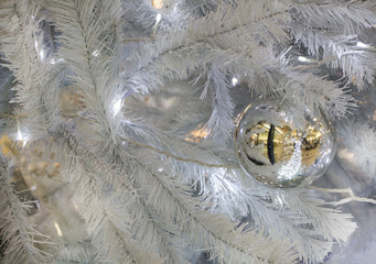 Background for greeting card. Christmas decorations mirror silver ball and lights on the Christmas-tree.