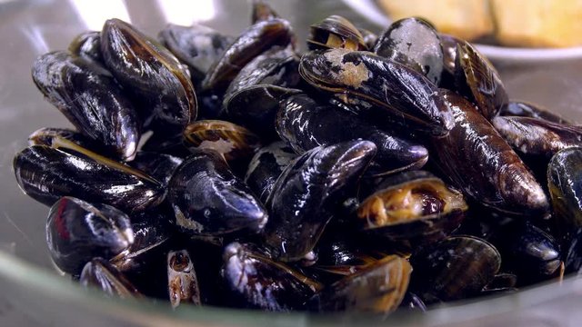 Fresh mussels in a plate