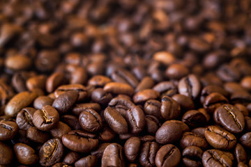 Coffee grains close-up