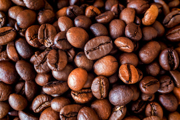 Coffee grains close-up