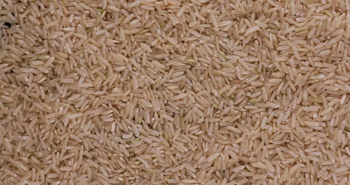 Dry raw unpolished rice