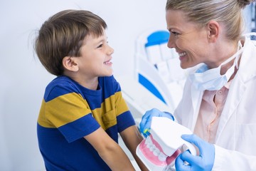 Happy dentist holding dental mold while looking at boy - Powered by Adobe