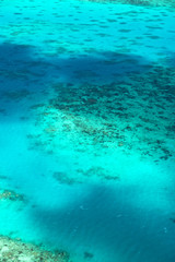 Fototapeta na wymiar the great reef from the high