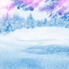 Bright winter landscape with snow-covered pine trees. Winter background.