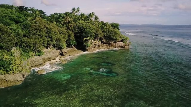 Aerial view of waves breaking on shore, sea and tropical coconut trees