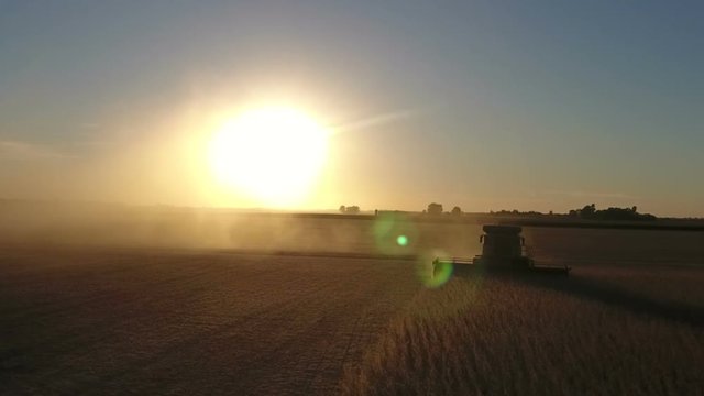 Combine harvesting a field of soybeans as sunset in midwest United States