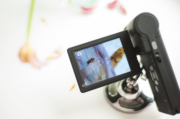 A digital microscope in a black case with a rotary screen that shows an insect