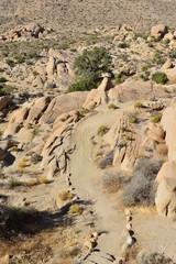 A Rocky Landscape at the Joshua tree national park.