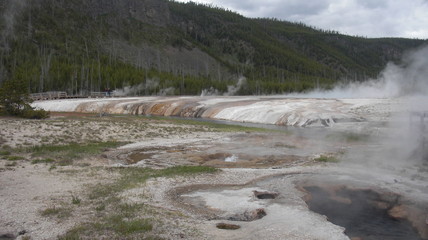 biscuit bassin parc national de yellowstone
