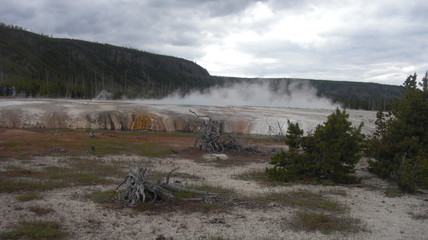 Obraz premium biscuit bassin parc national de yellowstone