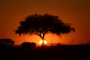 Naklejka na ściany i meble Sunset in Africa