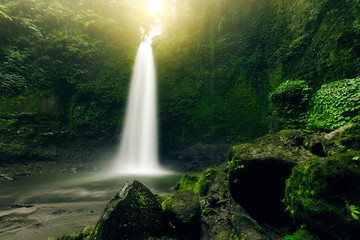 Beautiful big waterfall in green forest. Nature landscape background