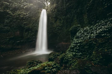Foto op Aluminium Beautiful big waterfall in green forest. Nature landscape background. Film color toned filter © Ivan Kurmyshov