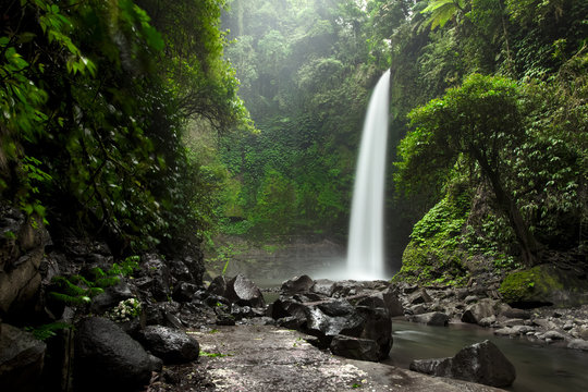 Fototapeta Beautiful big waterfall in green forest. Nature landscape background