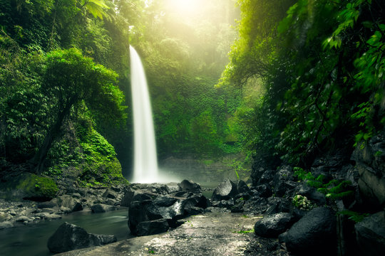 Fototapeta Beautiful big waterfall in green forest. Nature landscape background