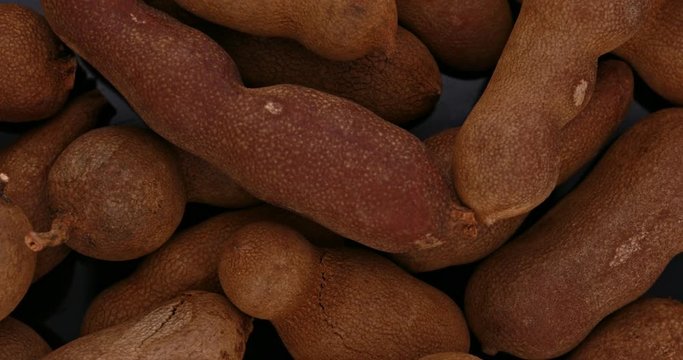 Ripe Tamarind fruits.Sweet ripe tamarinds.