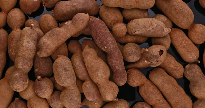 Ripe Tamarind fruits.Sweet ripe tamarinds.