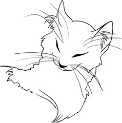 Obraz premium Cat head simply drawn, vector