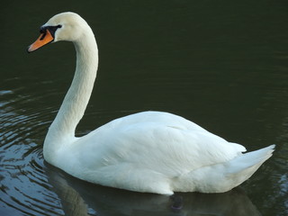 Борисовские пруды Москва