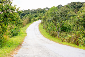 Fototapeta na wymiar countryside road in thailand
