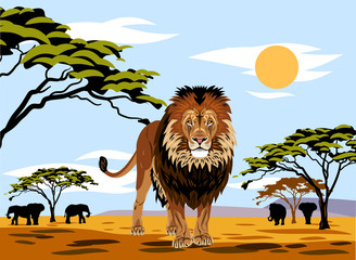 African landscape with a lion
