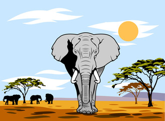 Fototapeta na wymiar African landscape with an elephant