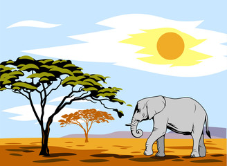 Fototapeta na wymiar African landscape with an elephant