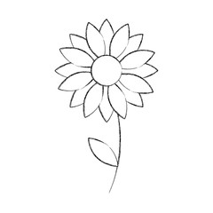 flower petal natural floral season decoration icon vector illustration