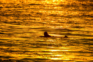 Silhouette Surfer at Sunset