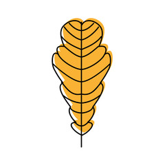 autumn leaf season natural foliage flora vector illustration