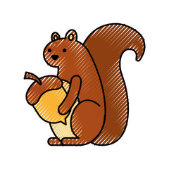 autumn season squirrel holdign acorn forest vector illustration