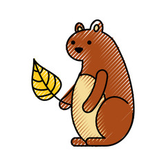 autumn season squirrel leaf natural forest vector illustration