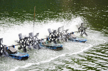 Water Turbine in Shrimp Pond