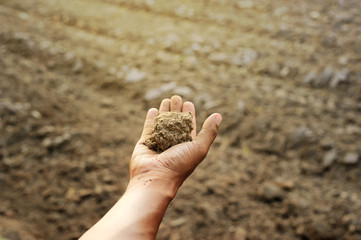 hand holding dried soil with ground prepared for agriculture