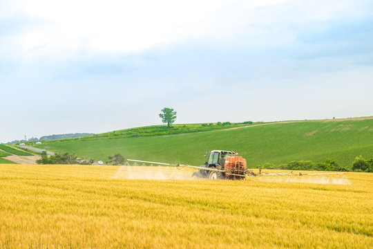 A agricultural machine vehicle spraying water or fertilizer or chemical to golden barley field. The rice is almost ripe. Backdrop is green one tree hill under blue cloudy sky. 
