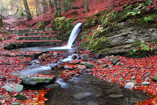 Little waterfall in the beech forest in the fall.