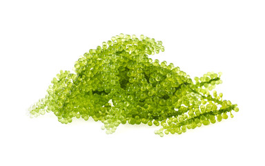 Umi-budou, grapes seaweed or green caviar isolated on white background © wealthy lady