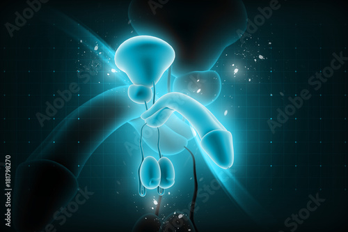 3d Rendered Penis Isolated On Color Background Stock Photo And 3d-rendered-penis-isolated-on-color-background-stock-photo-and