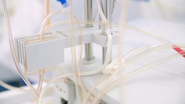 the doctor prepares the apparatus or equipment for plasmapheresis. Dropper, blood transfusion, plasma.