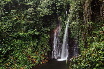 Beautiful waterfall in green forest. Nature landscape background