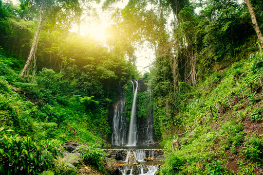 Fototapeta Beautiful waterfall in green forest. Nature landscape background