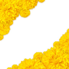 Frame of Marigold flowers background